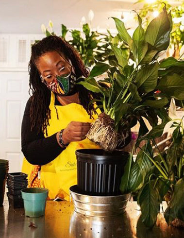 What Makes Plants Magical