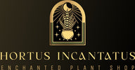 Hortus Incantatus Enchanted Plant Shop - Home